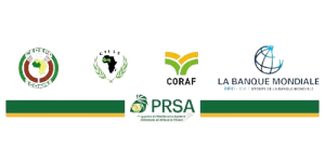 WhatsApp_Image_2024-12-24_at_17.43.22-removebg-preview